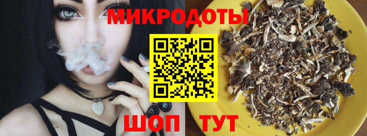 Галлюциногенные грибы Psilocybine cubensis Можайск